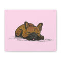 Sleeping Chocolate French Bulldog Pop Wall Art Canvas – Vibrant Cute Dog Wall Decor